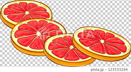 Grapefruit Fruit  Colored Detailed Illustration. 123533284