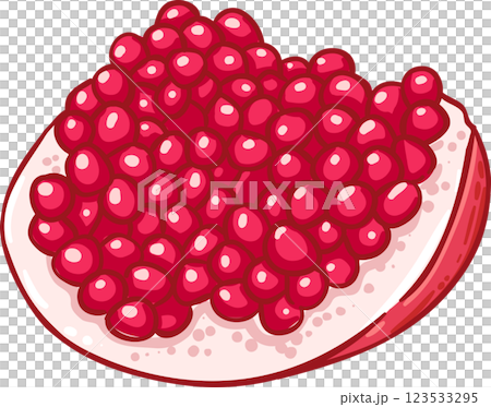 Pomegranate  Fruit  Colored Detailed Illustration 123533295