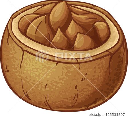 Brazil Nuts Colored Detailed Illustration Brazil Nuts Colored Detailed Illustration 123533297