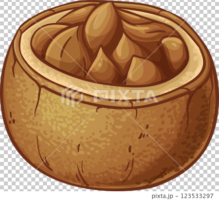 Brazil  Nuts  Colored Detailed Illustration Brazil  Nuts  Colored Detailed Illustration 123533297