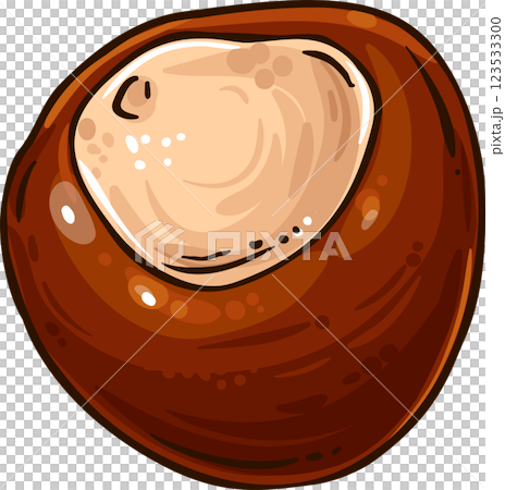 Chestnut Nut Colored Detailed Illustration 123533300