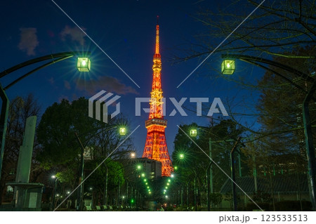 TOKYO, JAPAN - Januaty 30, 2025 : Tokyo tower at night, view from Shiba Park 4th Block in Tokyo. Soft focus, selective focus. TOKYO, JAPAN - Januaty 30, 2025 : Tokyo tower at night, view from Shiba Park 4th Block in Tokyo. Soft focus, selective focus. 123533513