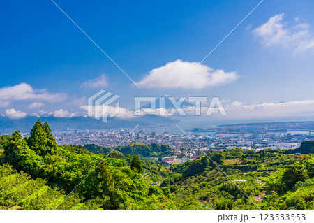 【静岡県】日本平の茶畑越しに清水の街並みと富士山 【静岡県】日本平の茶畑越しに清水の街並みと富士山 123533553