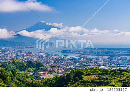【静岡県】日本平の茶畑越しに清水の街並みと富士山 123533557