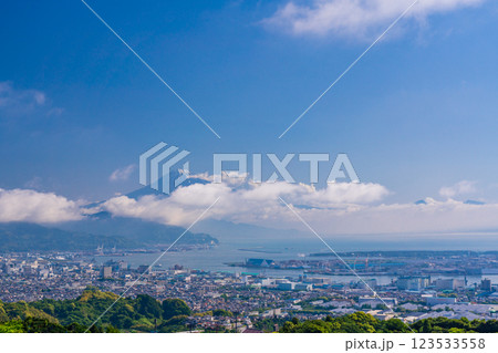 【静岡県】日本平の茶畑越しに清水の街並みと富士山 123533558