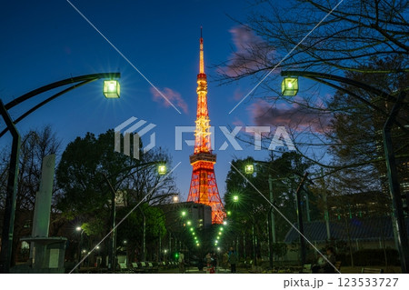 TOKYO, JAPAN - Januaty 30, 2025 : Tokyo tower at night, view from Shiba Park 4th Block in Tokyo. Soft focus, selective focus. TOKYO, JAPAN - Januaty 30, 2025 : Tokyo tower at night, view from Shiba Park 4th Block in Tokyo. Soft focus, selective focus. 123533727