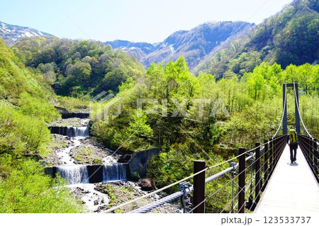 霊峰白山　別当出合の橋 123533737