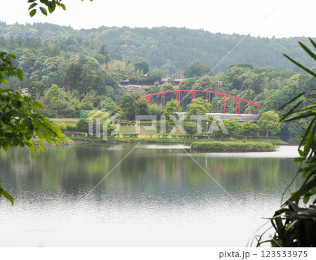 新緑の亀山湖 123533975