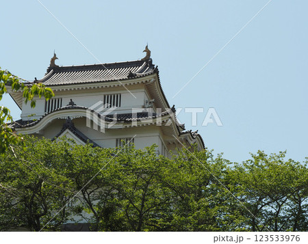 新緑の大多喜城 123533976