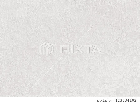 Closeup of White lace with flowers on white background 123534102