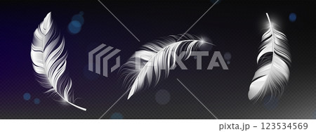 Falling 3d feather collection 123534569