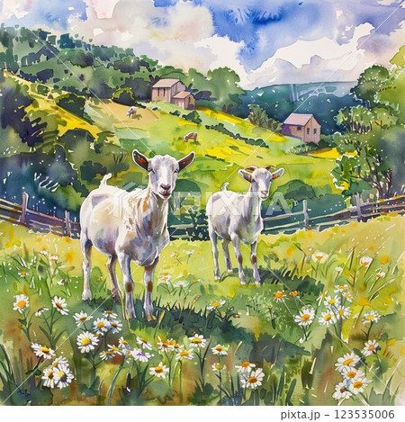 Sunny spring day, goats graze in the meadow in the village and eat green grass. Village life, picture painted with watercolors 123535006