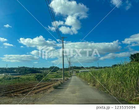 青空と雲と沖縄のサトウキビ畑 123535094