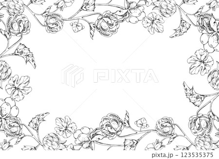 Cloudberry raspberry on stems with plant leaves hand drawn vector ink, ripe forest berry. Isolated botanical illustration garland frame corner. Restaurant, cafe menu, farmers market, recipe book Cloudberry raspberry on stems with plant leaves hand drawn vector ink, ripe forest berry. Isolated botanical illustration garland frame corner. Restaurant, cafe menu, farmers market, recipe book 123535375