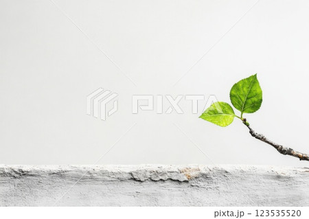 Single green leaf rises from barren branch in minimalist composition against soft background 123535520