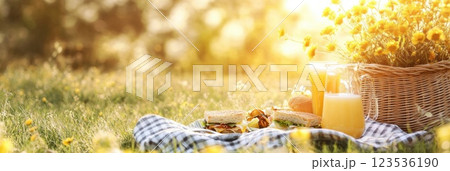 Sunny park picnic where people enjoy sandwiches and drinks in a vibrant outdoor setting 123536190