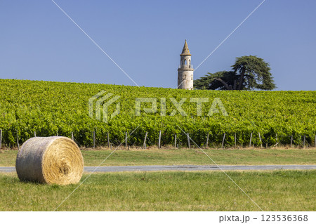 Typical vineyards near Chateau la Tour de By, Bordeaux, Aquitaine, France Typical vineyards near Chateau la Tour de By, Bordeaux, Aquitaine, France 123536368
