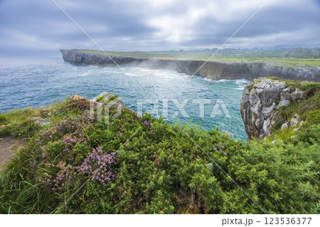 Typical landscape with cliffs above sea near Ribadesella (Ribeseya), Asturias, Spain Typical landscape with cliffs above sea near Ribadesella (Ribeseya), Asturias, Spain 123536377