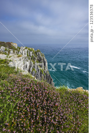 Typical landscape with cliffs above sea near Ribadesella (Ribeseya), Asturias, Spain Typical landscape with cliffs above sea near Ribadesella (Ribeseya), Asturias, Spain 123536378