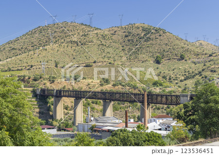 Typical Douro landscape near Pocinho, UNESCO site, Vila Nova de Foz Coa, Alto Douro wine region, Portugal 123536451