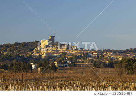 Typical vineyard with stones near Chateauneuf-du-Pape, Cotes du Rhone, France 123536497