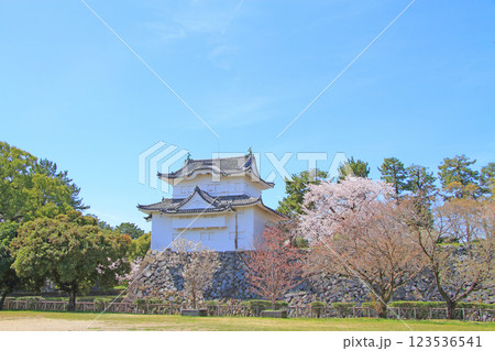 愛知県名古屋市、満開の桜と名古屋城東南隅櫓の風景 愛知県名古屋市、満開の桜と名古屋城東南隅櫓の風景 123536541