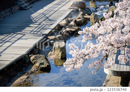 〈島根県〉春の玉造温泉 玉湯川の足湯と桜 〈島根県〉春の玉造温泉 玉湯川の足湯と桜 123536740