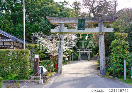 〈島根県〉玉作湯神社　境内入口の鳥居 123536742