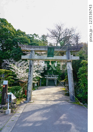 〈島根県〉玉作湯神社　境内入口の鳥居 123536743
