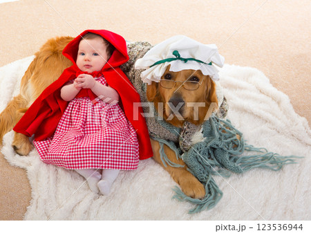 Baby Little Red Riding Hood with wolf dog as grandma Baby Little Red Riding Hood with wolf dog as grandma 123536944