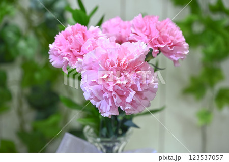 母の日イメージ 123537057