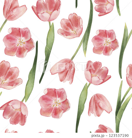 Seamless watercolor pattern of delicate pink tulips with green stems and leaves. Perfect for spring-themed designs, textiles, wallpapers, and seasonal decorations. Soft and elegant floral design. 123537190