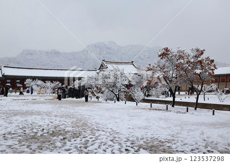 雪が積もった韓国の景福宮の門 123537298