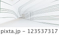 Luxury parametric abstract architectural minimalistic background. Contemporary showroom. Modern colored glass exhibition tunnel. Empty gallery. Backlight. 3D illustration and rendering. 123537317