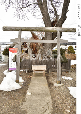 冬の北海道七飯町で一本栗地主神社境内の風景を撮影 冬の北海道七飯町で一本栗地主神社境内の風景を撮影 123537461