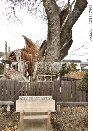 冬の北海道七飯町で一本栗地主神社境内の風景を撮影 冬の北海道七飯町で一本栗地主神社境内の風景を撮影 123537462