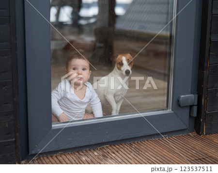 Cute baby boy and Jack Russell terrier dog looking through the patio window.  123537511