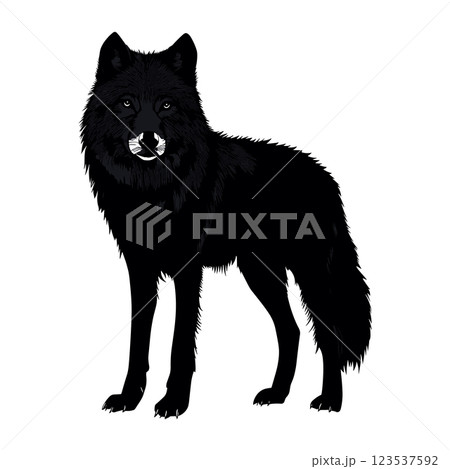 black silhouette of wolf isolated vector illustration 123537592