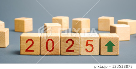 Wooden blocks with the inscription 2025 and arrow up. Setting goals and objectives for the new year. Planning, business management and strategy concept. Ideas, forecasting and vision 123538875