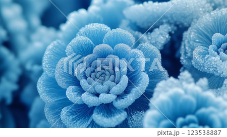 氷の花の背景素材(Generative AI) 氷の花の背景素材(Generative AI) 123538887