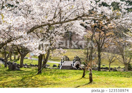 満開の桜と橋のある風景 満開の桜と橋のある風景 123538974