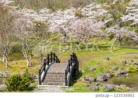満開の桜と和風な橋のある風景 123538981