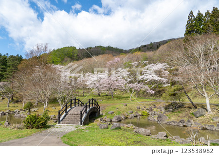 春爛漫の函館にあるダム公園の風景 123538982