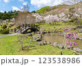 新中野ダムにある公園の桜と橋のある風景 123538986