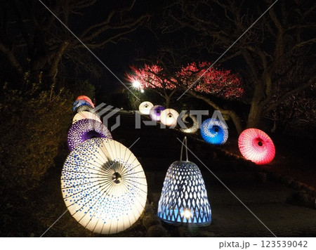 静岡県 和傘と梅の木のライトアップ 2月 静岡県 和傘と梅の木のライトアップ 2月 123539042