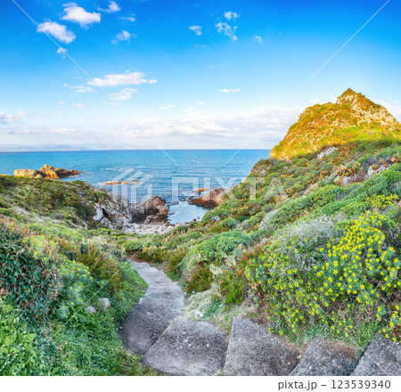 Amazing spring view on the the cape Milazzo panorama of nature reserve Piscina di Venere. Amazing spring view on the the cape Milazzo panorama of nature reserve Piscina di Venere. 123539340