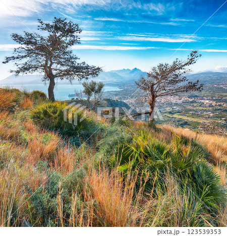 Amazing view of Porticello and Santa Flavia towns and national park Orientata Pizzo Cane Amazing view of Porticello and Santa Flavia towns and national park Orientata Pizzo Cane 123539353