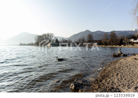 Panorama of lake Tegernsee, Bavaria, Germany 123539919