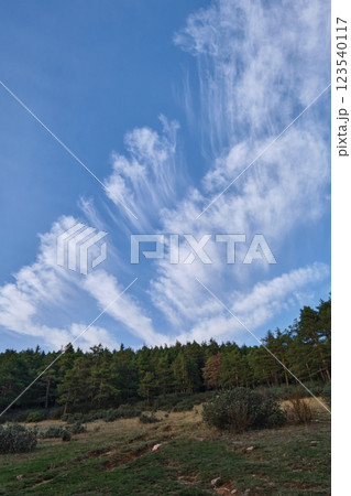 Picturesque clouds feathers beautiful sky and nature 123540117