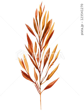 Dry leaf isolated. Hand Painted Watercolor Foliage element. Autumn Season Leaves, Branch in Warm Fall Colors 123541270